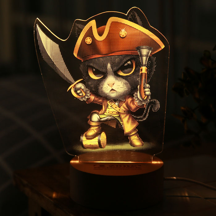 Cat Pirate