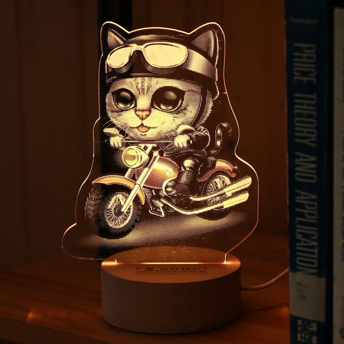 Cat Rider